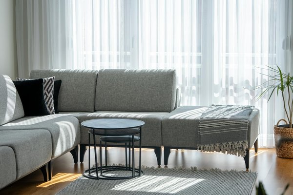 Piscine naturelle vs piscine traditionnelle : le match