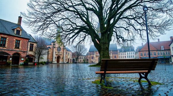 Guide pratique : comprendre le concept de vide maison à Tournai